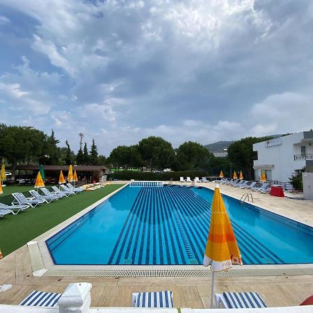 كوشاداسيه Palm Club Apart Otel المظهر الخارجي الصورة