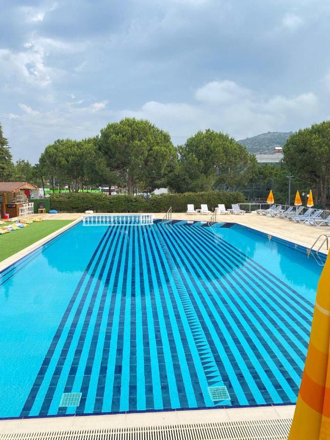كوشاداسيه Palm Club Apart Otel المظهر الخارجي الصورة
